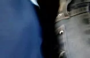 XXX పరిపక్వ లెస్బియన్ licks యంగ్ జుట్టుతో pubis