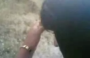 XXX చేర్చబడిన erotica and began to masturbate ఒక కంపన తో